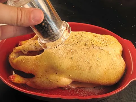 Maîtrisez l'art d'habiller un canard : du plumage au prêt-à-cuire