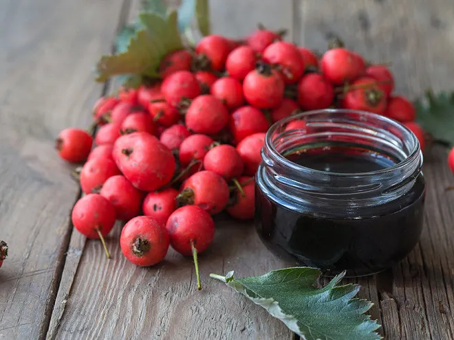 Confiture d'églantine