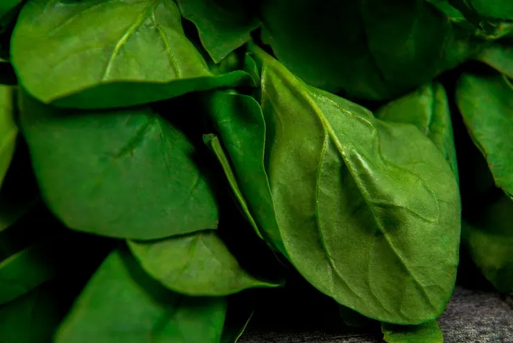 Épinards à l'anglaise : la cuisson parfaite pour une verdure subtile