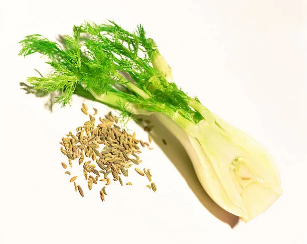 Fenouil détaillé en demis ou en quartiers : la technique parfaite pour sublimer le fenouil