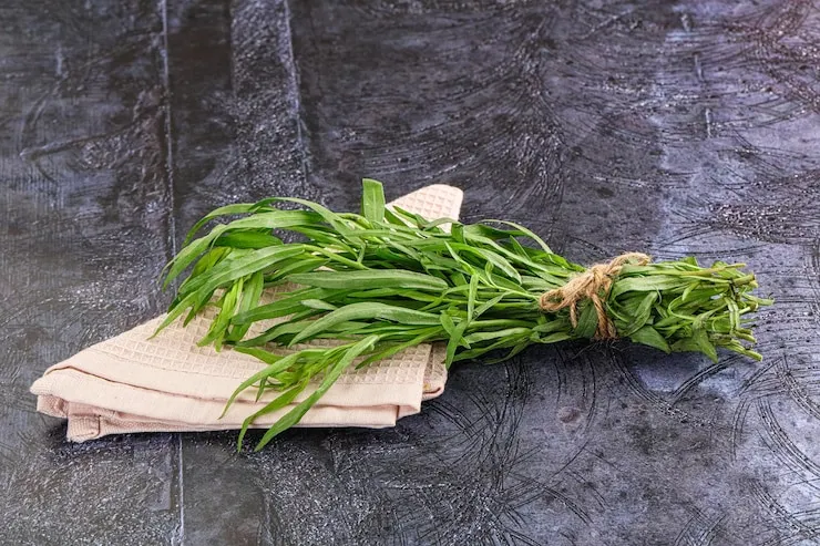 Découvrez les Secrets de l'Estragon pour une Cuisine Raffinée avec 10 Recettes Inoubliables