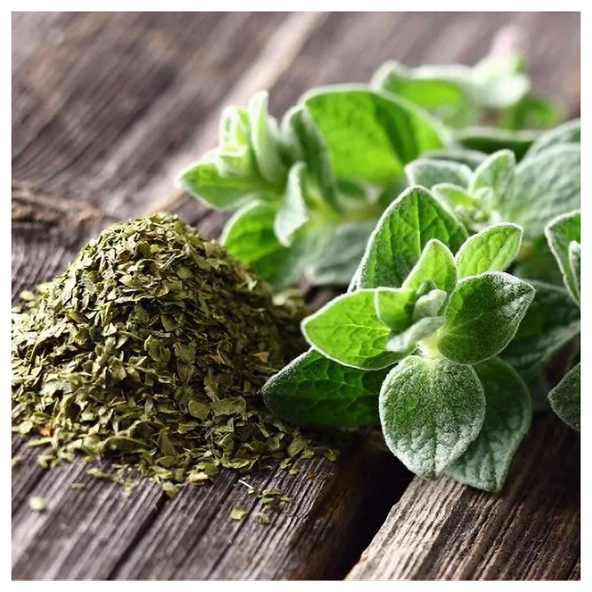 Découvrez les 10 secrets de l'Origan bio pour une cuisine méditerranéenne authentique