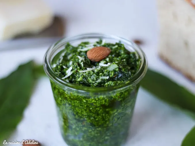 Ail des ours : Recette de pesto frais et astuces gourmandes
