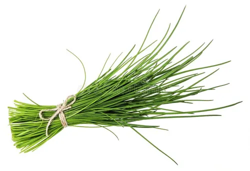 Découvrez les secrets de la ciboulette fraîche : 10 astuces pour une cuisine royale