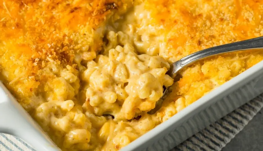 gratin de macaronis au four