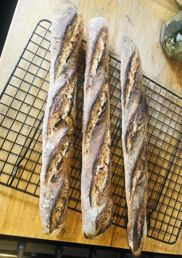 Tutoriel complet : Fabriquer et conserver son levain maison pour un pain artisanal