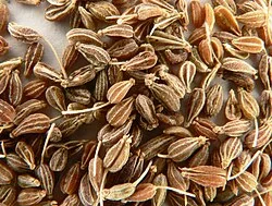 Recette de Anis vert maison traditionnelle