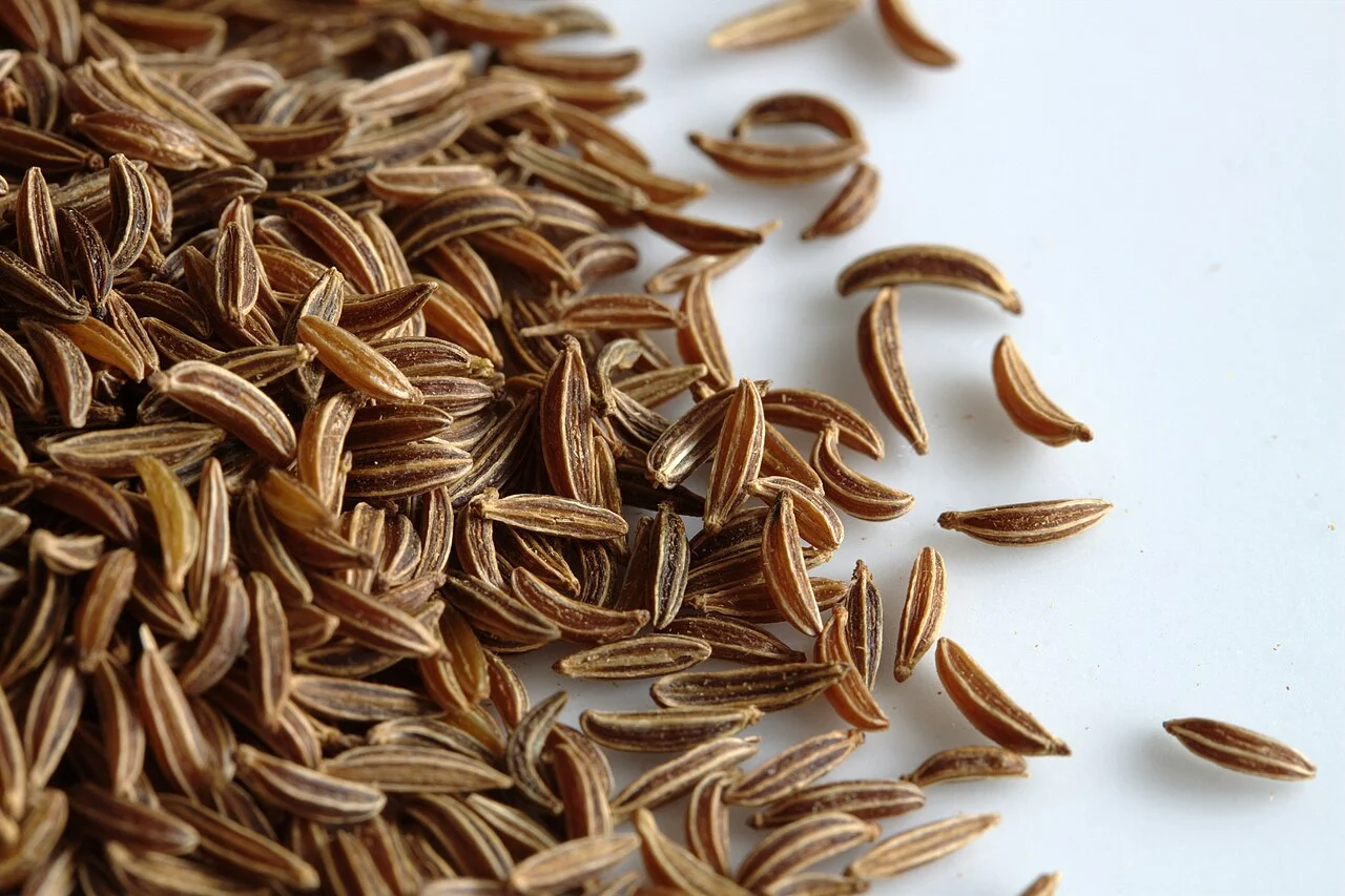 Recette de Carvi maison traditionnelle
